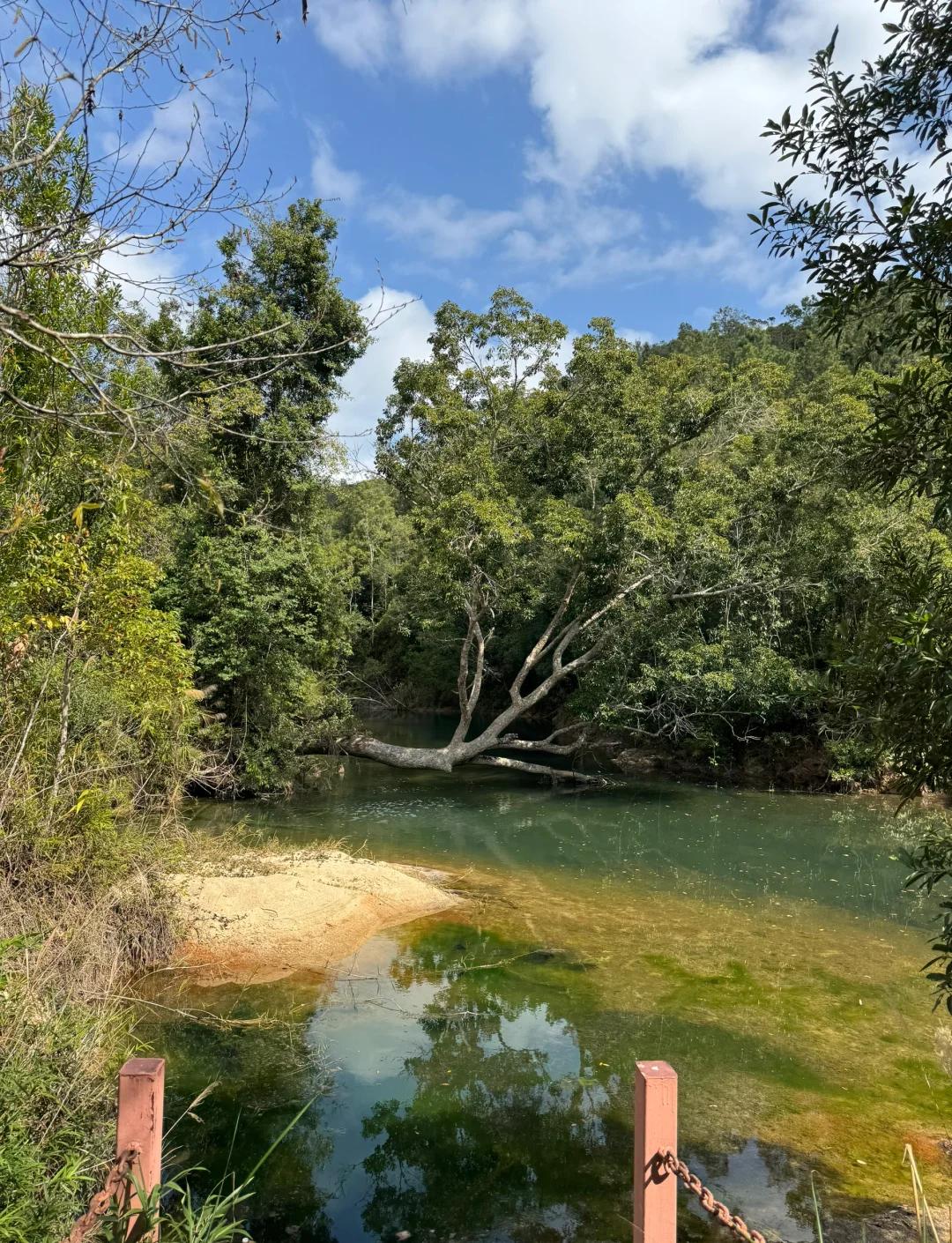 海南乐东旅游，海岛椰林美景攻略！