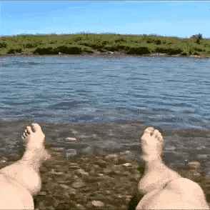 要不是最后鳄鱼竖起大拇指，我都差点以为是真的了。