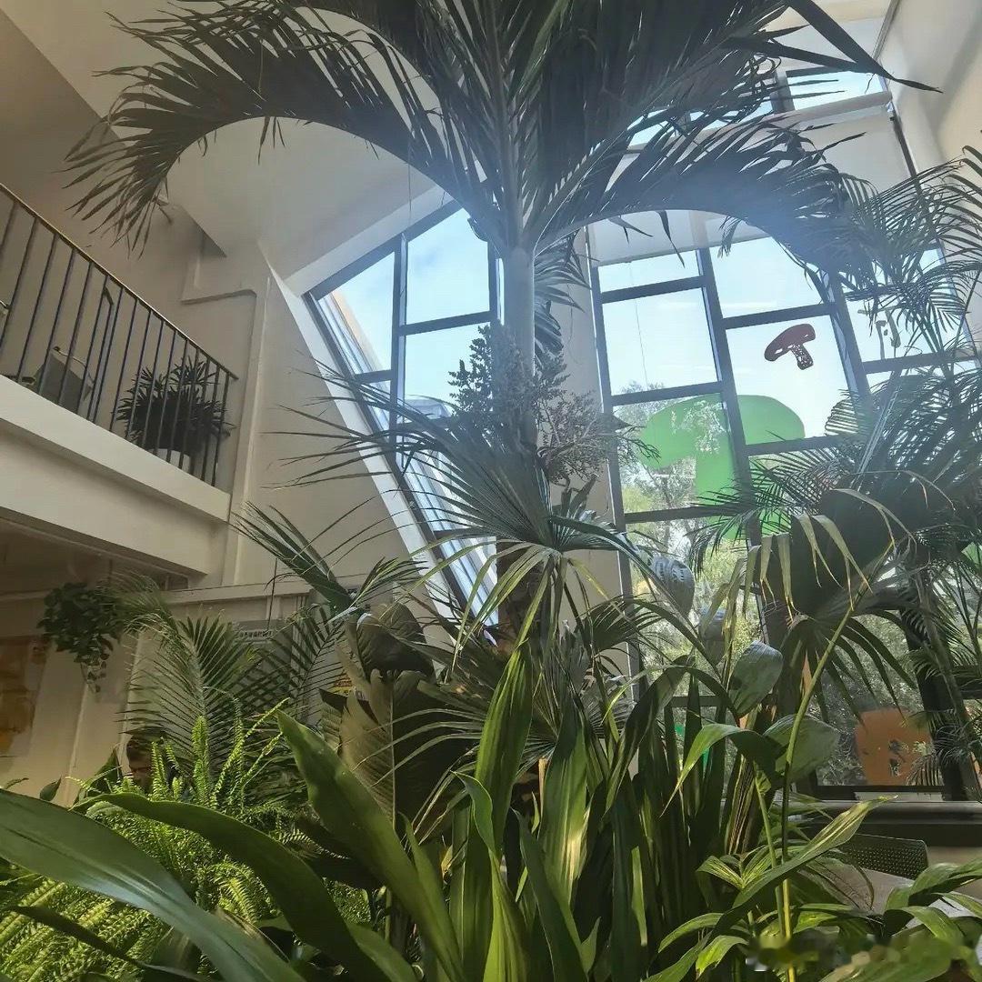 国家植物园米线馆惊艳了哈哈哈，这个米线店我去过呀它是植物园内的云南米线店，主打自