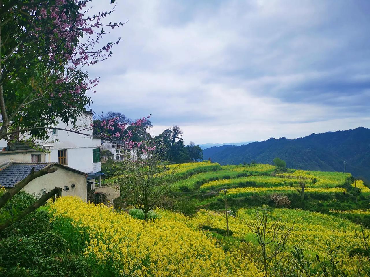 孩子这次期中考试，数学考了146分。他从未上过一天辅导班，成绩也过了985