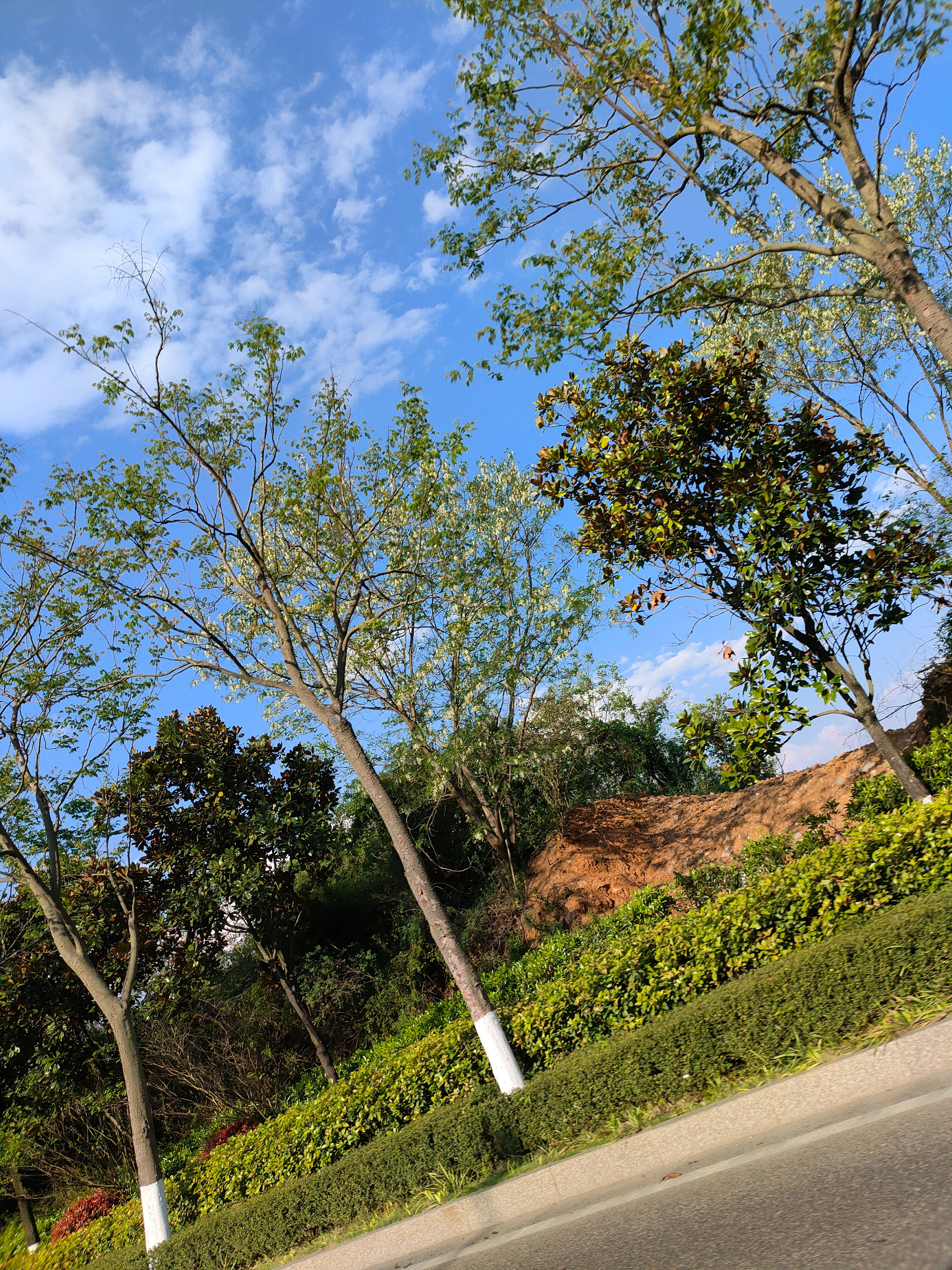 天气不错，心情也跟着好