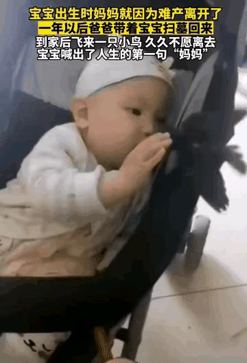 “妈妈，我知道是你回来看我了!”宝宝出生时，妈妈因为难产去世了，爸爸独自一人怀着