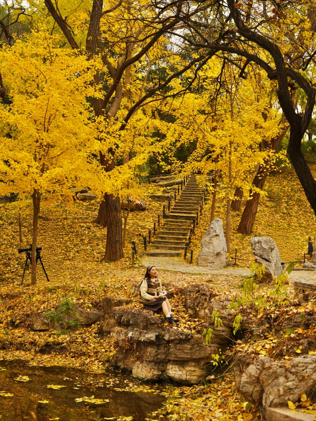 11.15Live实拍！没想到陶然亭秋天可以这么美