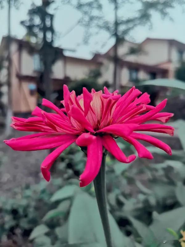 人一旦开悟，人生就顺畅了，开悟的9个境界​1.不着急“事缓则圆，人缓则安，语