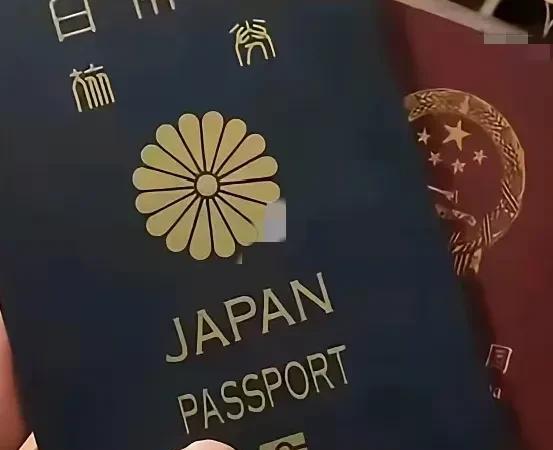 中国人“踊跃”加入日本籍！据凤凰网消息，2024年有3122名中国人加入日本国
