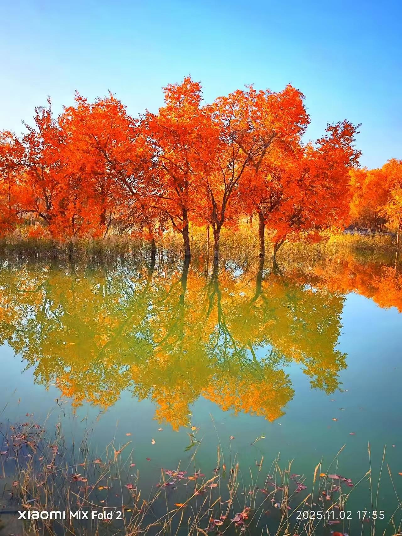 别不信，生活一直悄悄偏爱你。那些你以为跨不过去的坎，那些深夜里偷偷掉的泪
