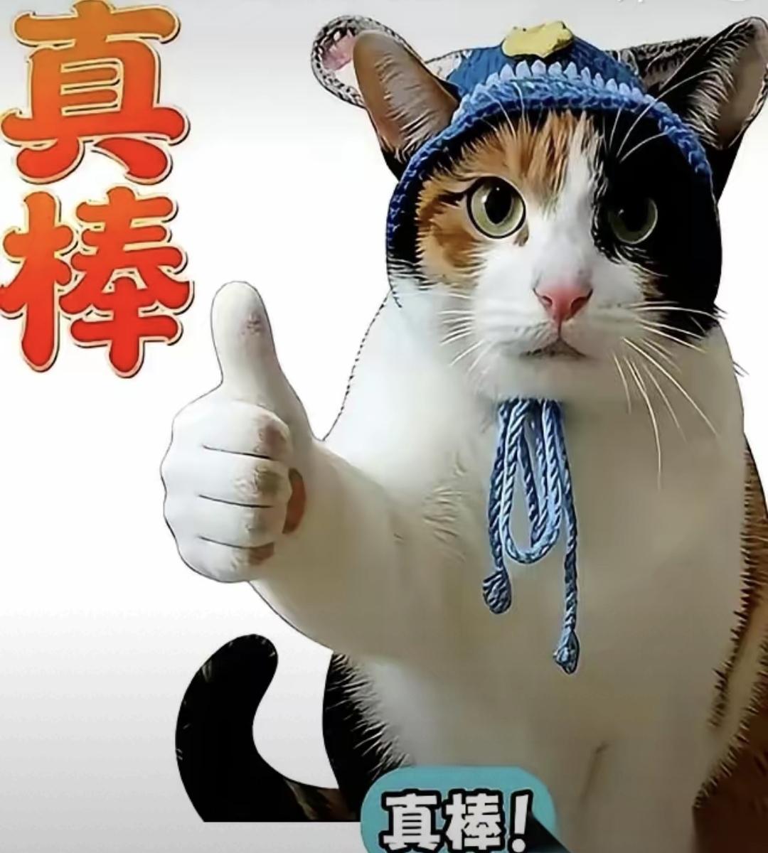 今天刷到一个新闻，深圳公安局要招750个工作人员。不是编制，也不是警察，是辅警。