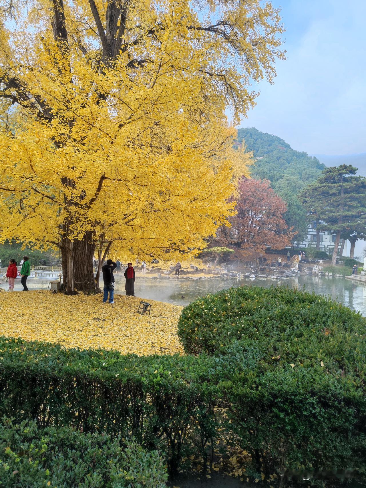 冬日生活打卡季秋天的北京，是四季中最美的季节，也是最让画家和摄影师喜欢的季节。穷