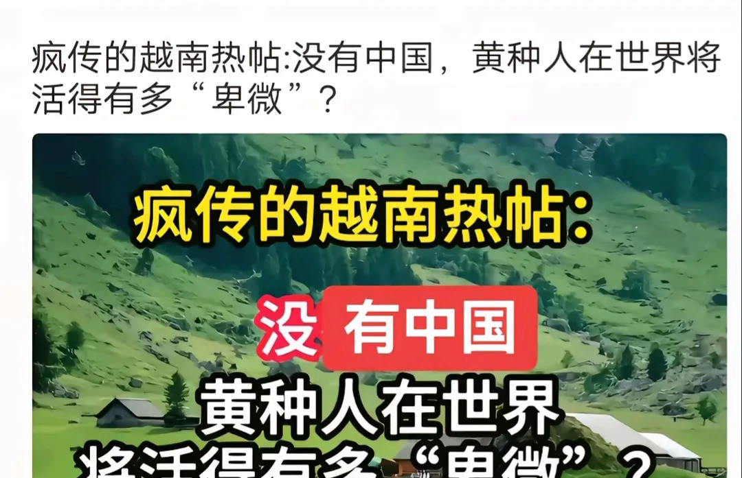 越南“抄作业”的心得---你以为
