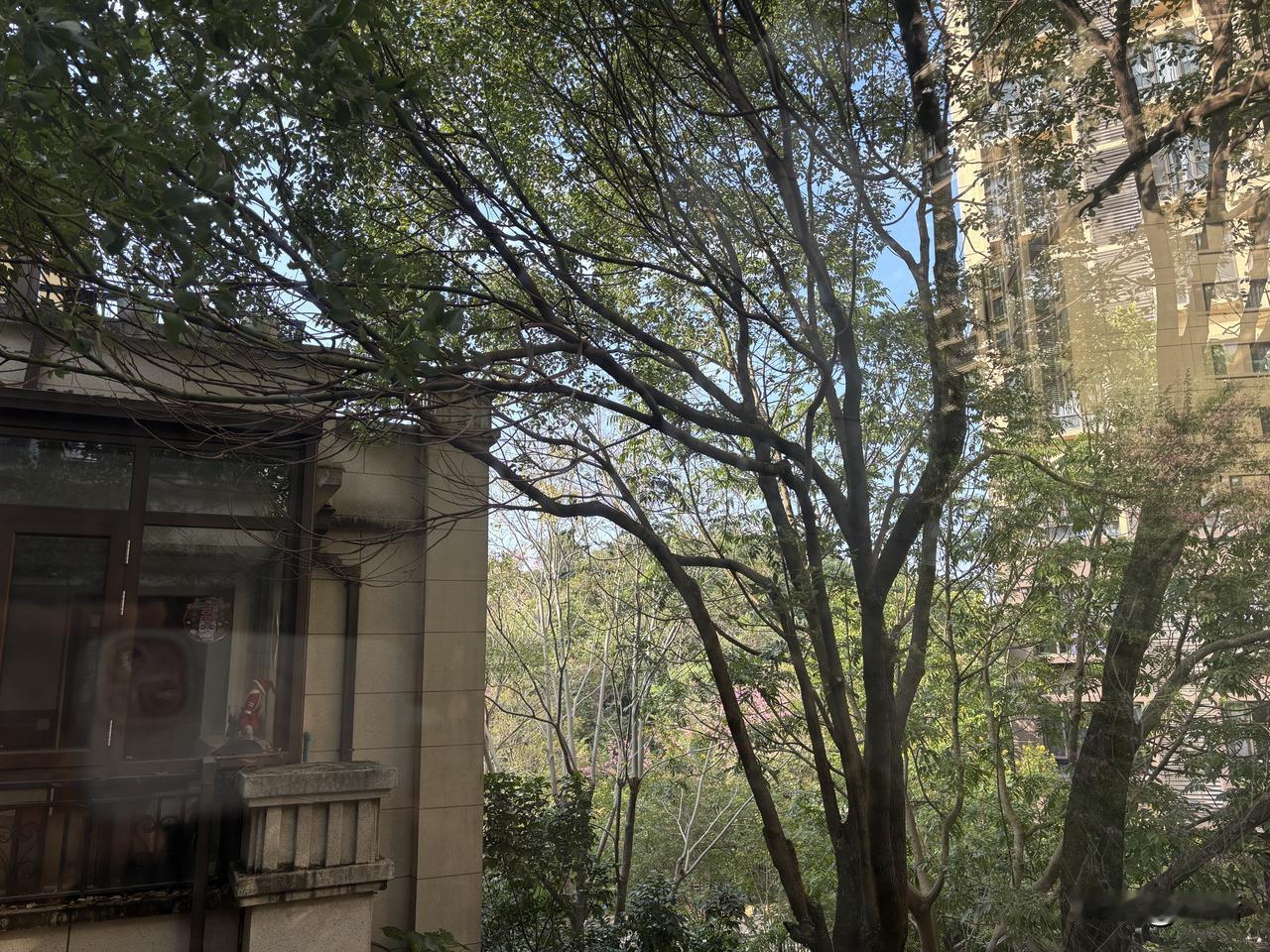 早上和家人聊九运离火运，聊明年赤马年，聊健康智慧财富的三角关系。达成共识如下：