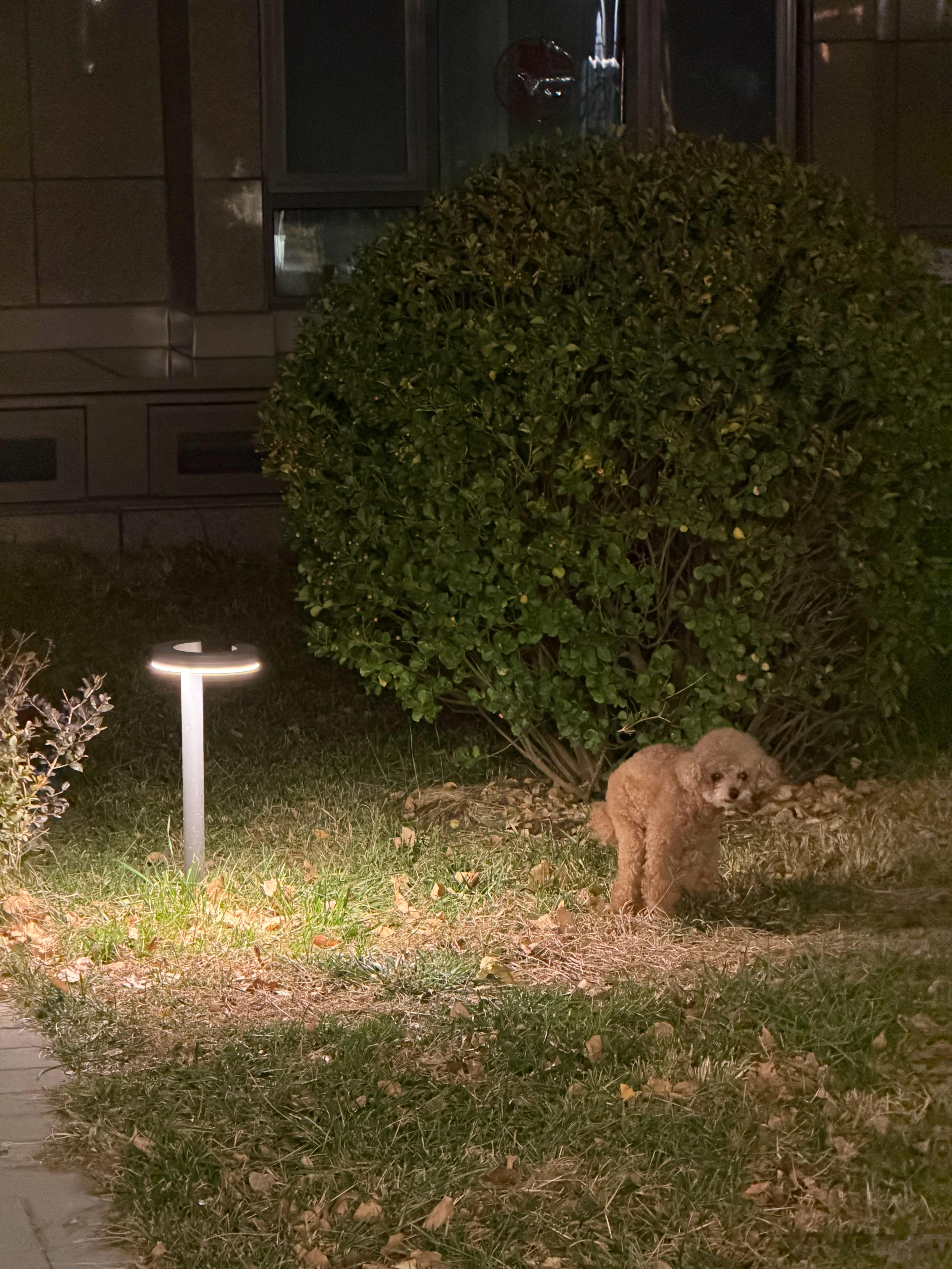 请欣赏艺术作品《夜幕下的奋斗者》