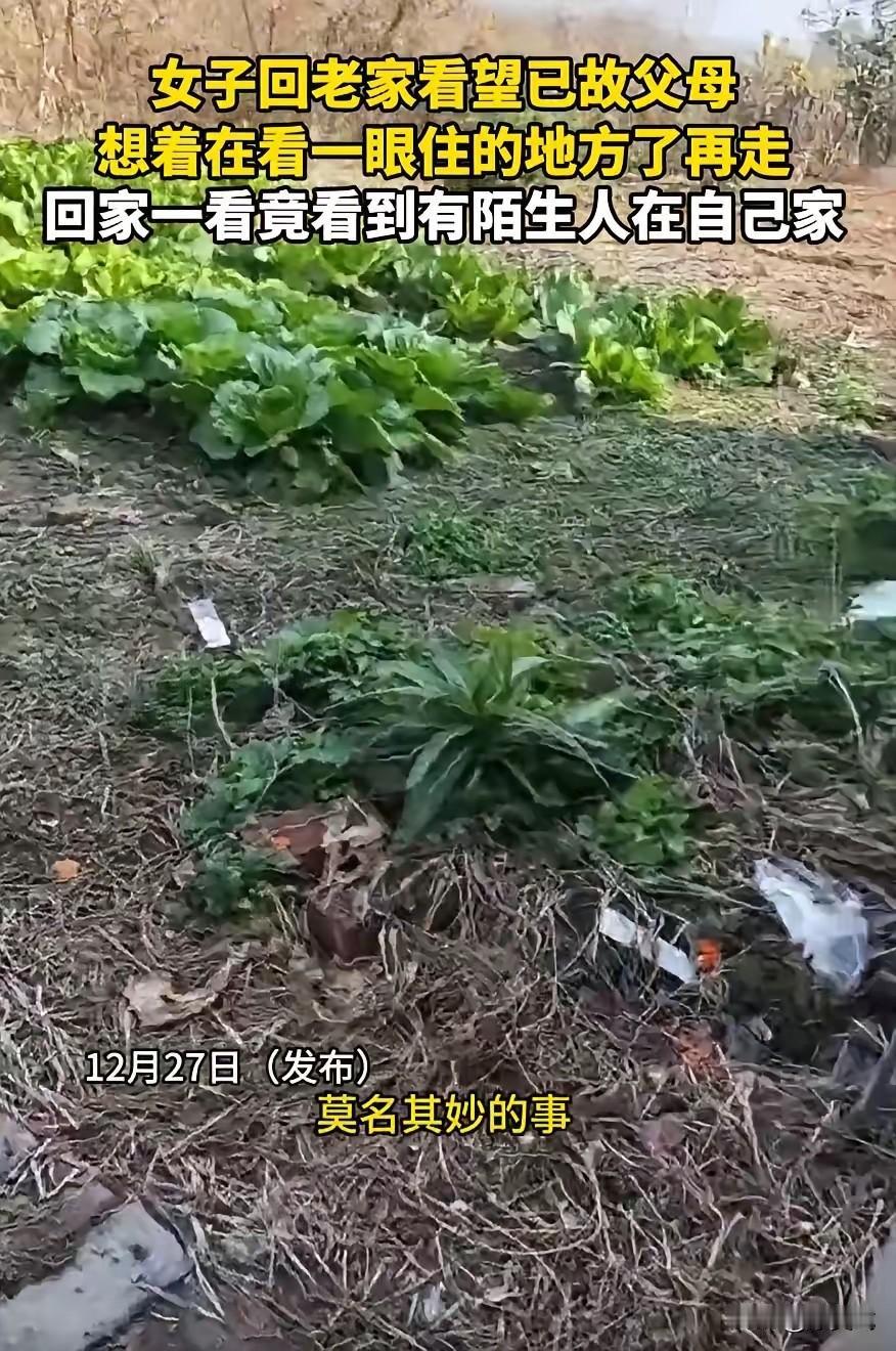 “荒唐至极！”女子回老家给父母上坟，结果，却发现老家房子门开着，她以为是自己之前