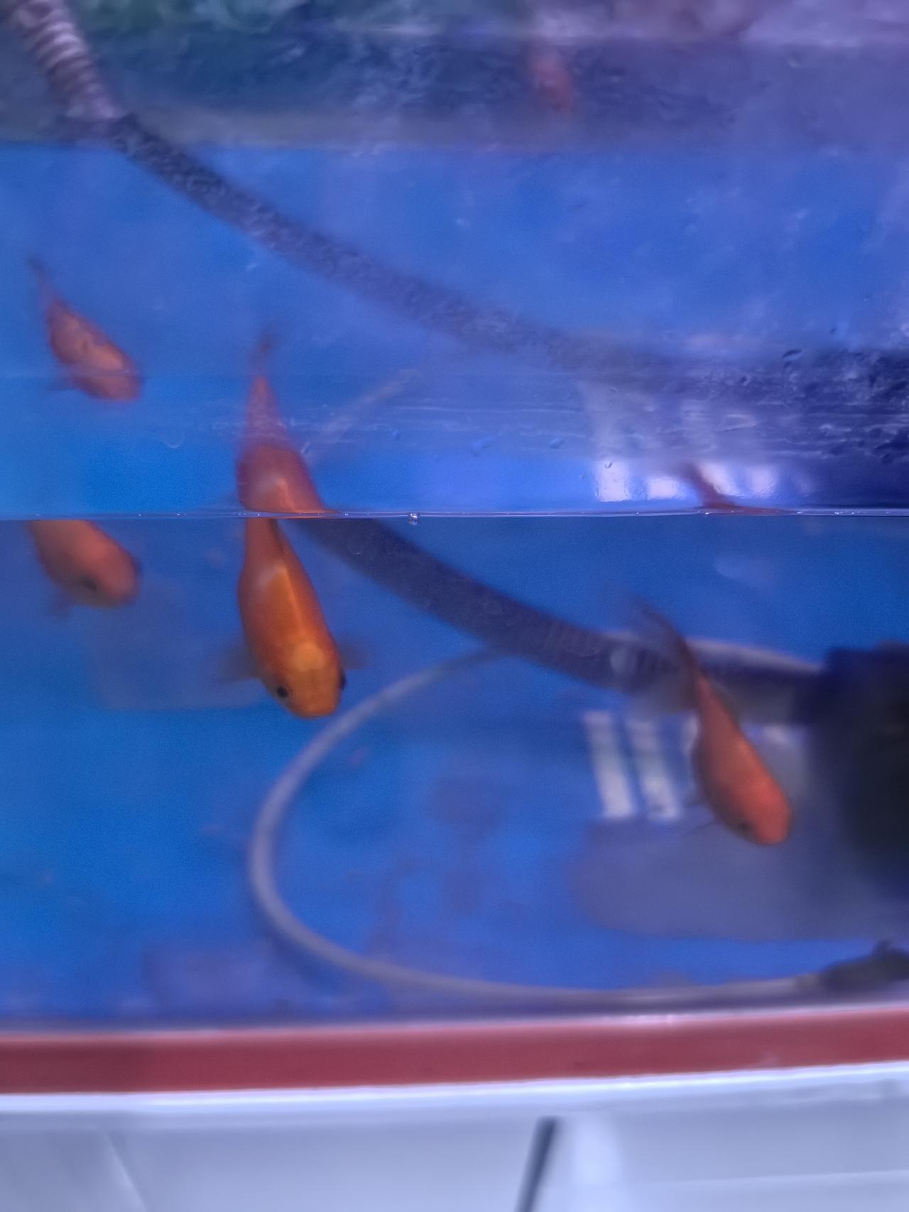 一大早我上班，老公在上海交通大学第九医院护理我爸，儿子在广西的家中又遇到问题了。