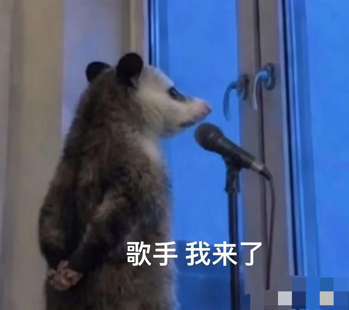 今晚《歌手》直播还没开唱，酒菜们已经在狂欢了——因为有两位哥哥同台！主串讲人苏