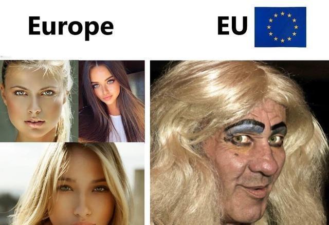 马斯克发图讽刺说，“左边的是欧洲，右边的欧盟”，但“布鲁塞尔却说这是同一张照片”