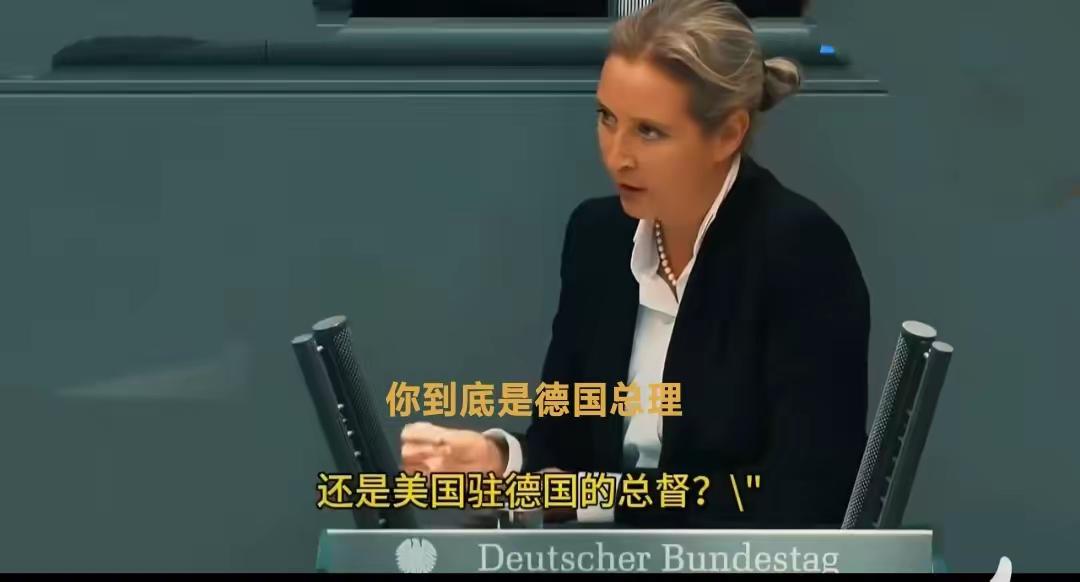 德国经济衰退，民众怨声载道。极右翼女政客魏德尔在议会当场怒斥总理：“你到底是德国