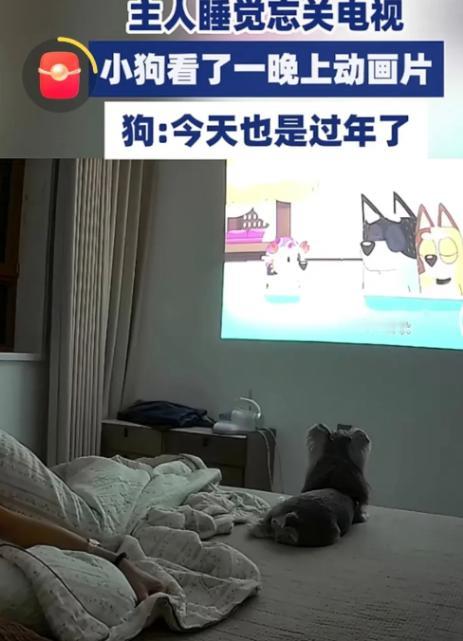 10月21日,山东,女子睡觉忘关电视,就这样电视从晚播到第二天早上。等男子醒来后