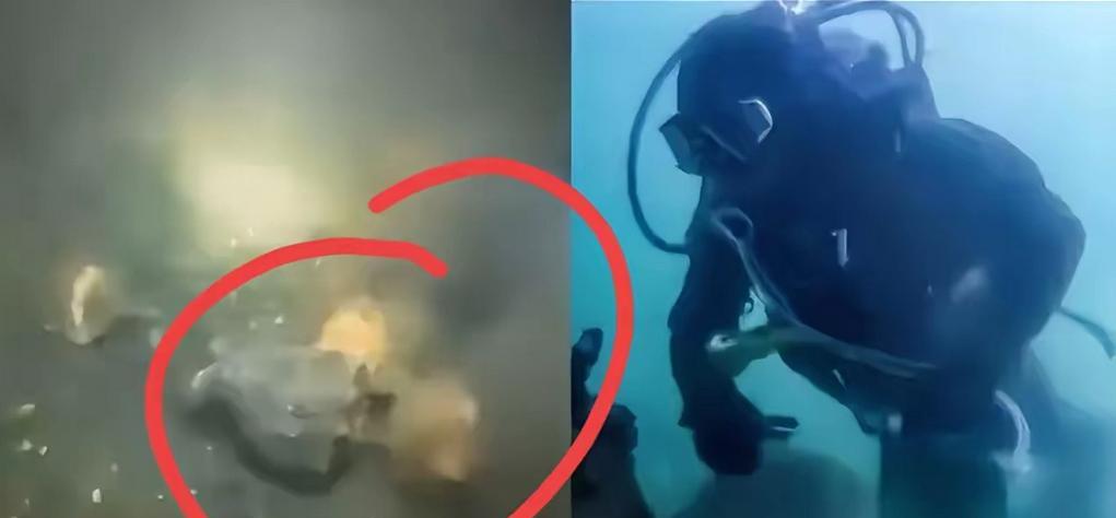 在青岛17米深的海底，潜水员樊继伟碰上了一辈子都难得一见的奇景。他眼前的礁石缝里