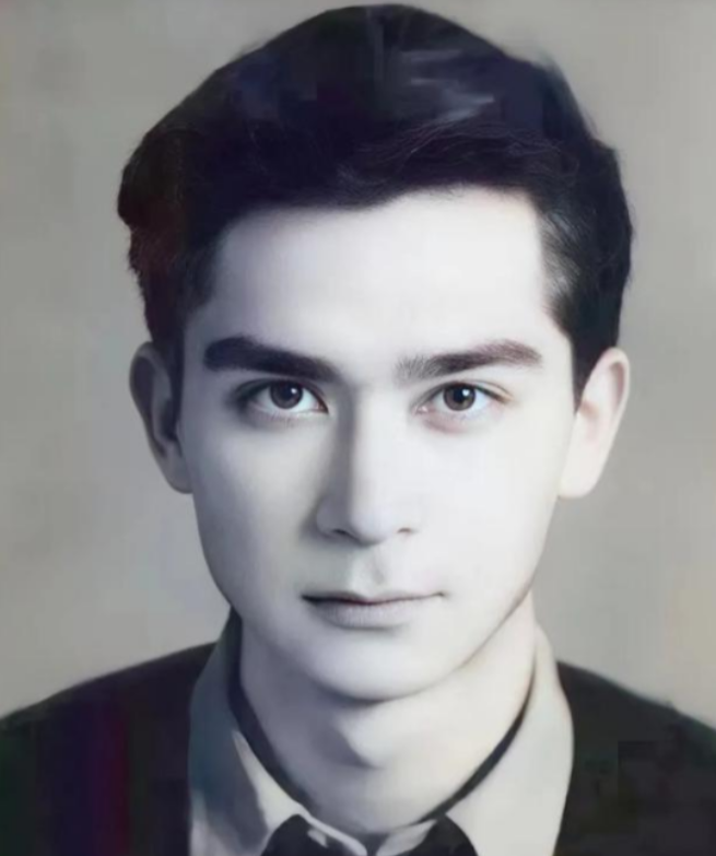 1963年，石油专家王德民，因为长得英俊，追他的女孩排成长队，他烦得眉头紧皱，放