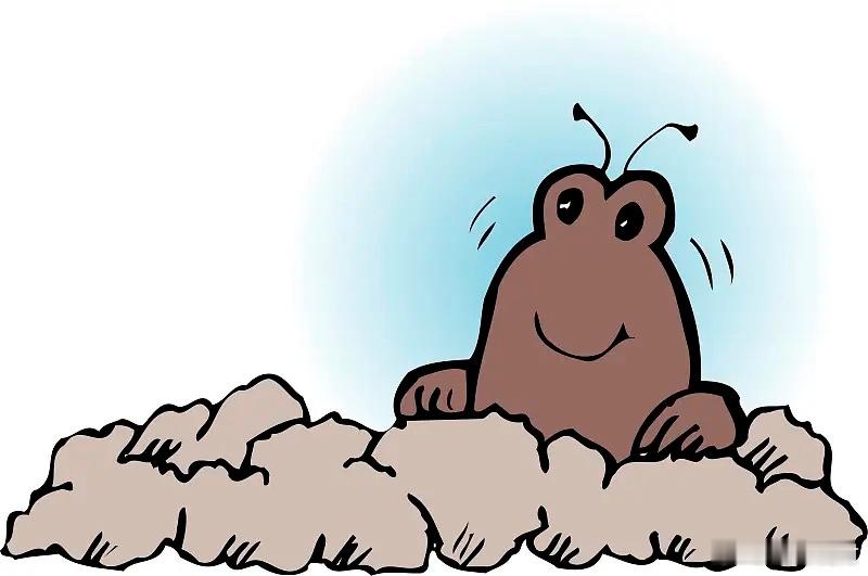 “知道这些网络新名词吗？”1、踩缝纫机——就是坐牢2、领盒饭——就是去世3、团建