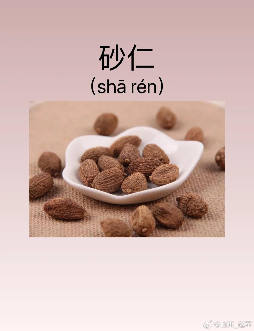 砂仁佐补：以通为补的中医配伍智慧中医素有“补而不滞，通而不泻”之训，砂仁与补药相