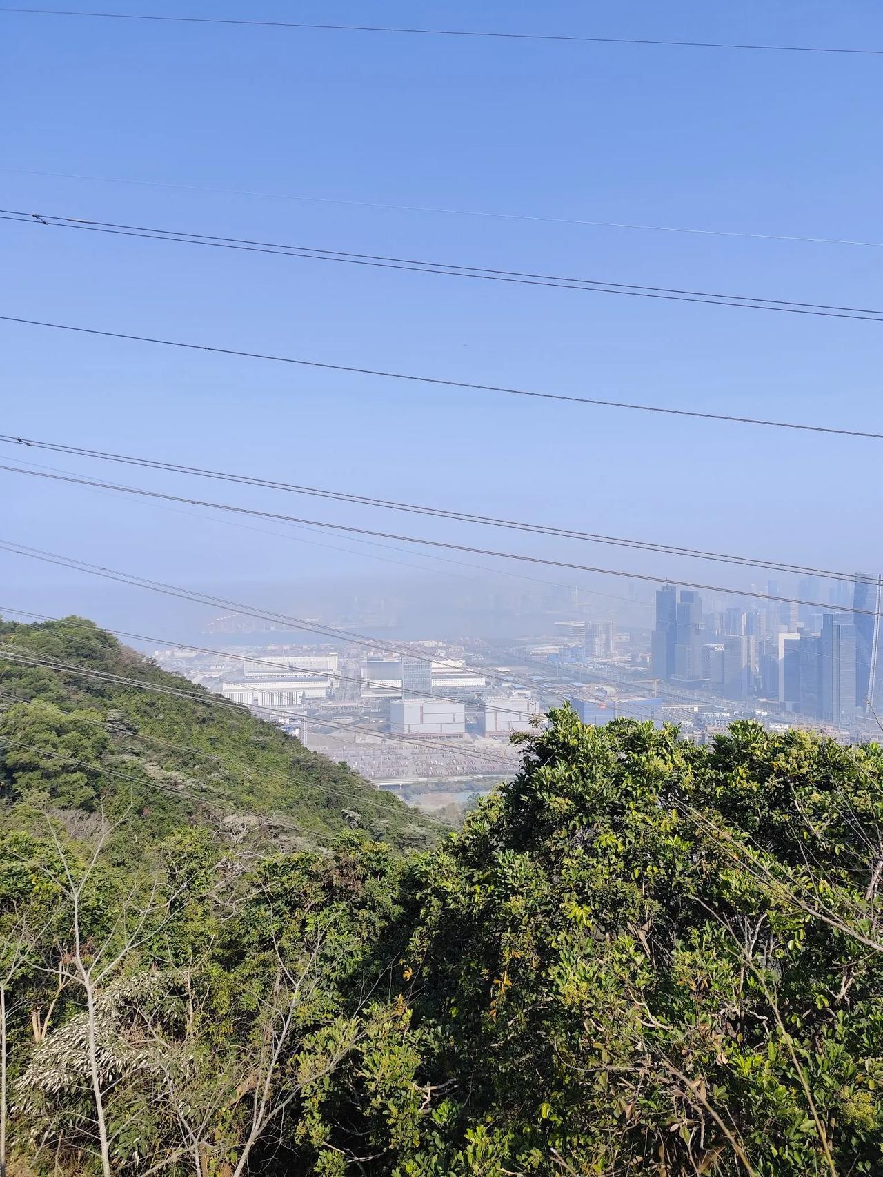 狒狒和所有野生动物都不一样，狒狒一天只有三分之一的时间用来觅食，其他时间都用来社