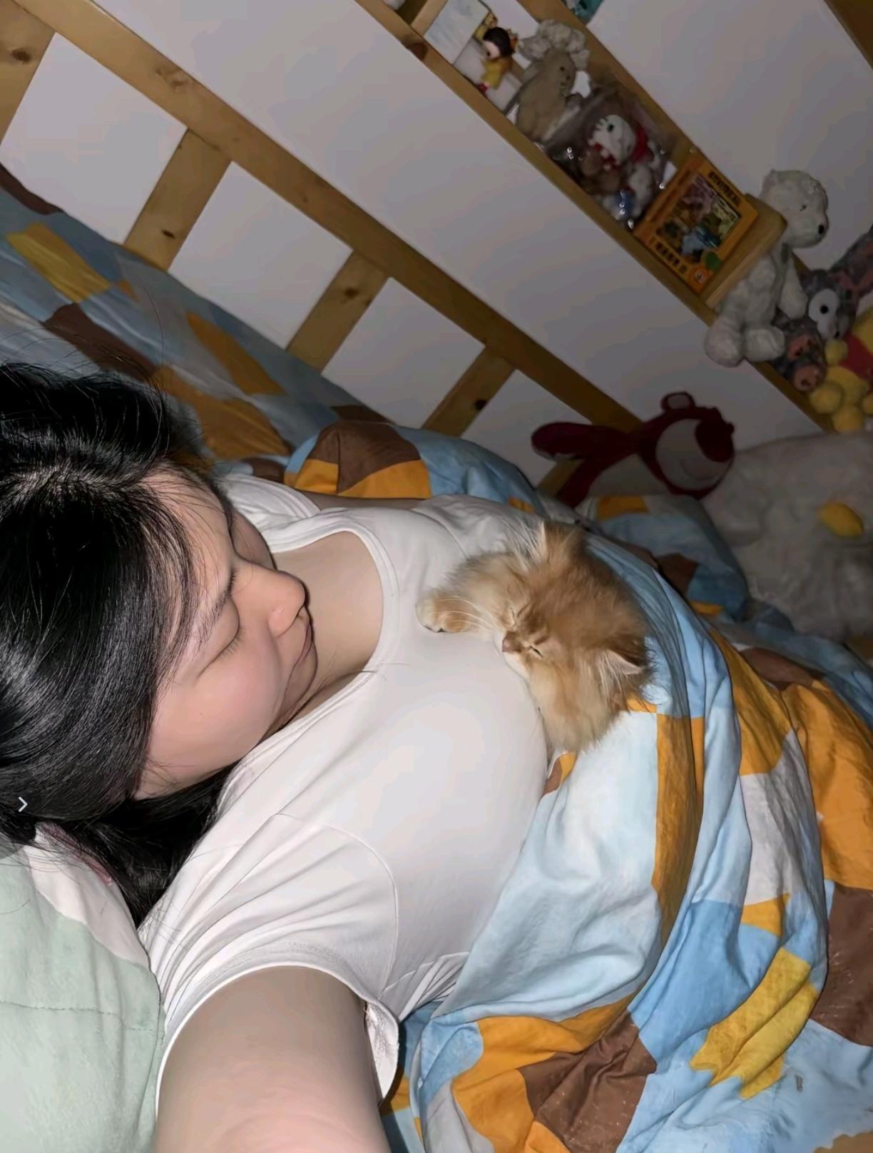 猫咪趴在窝里和主人一起睡觉。