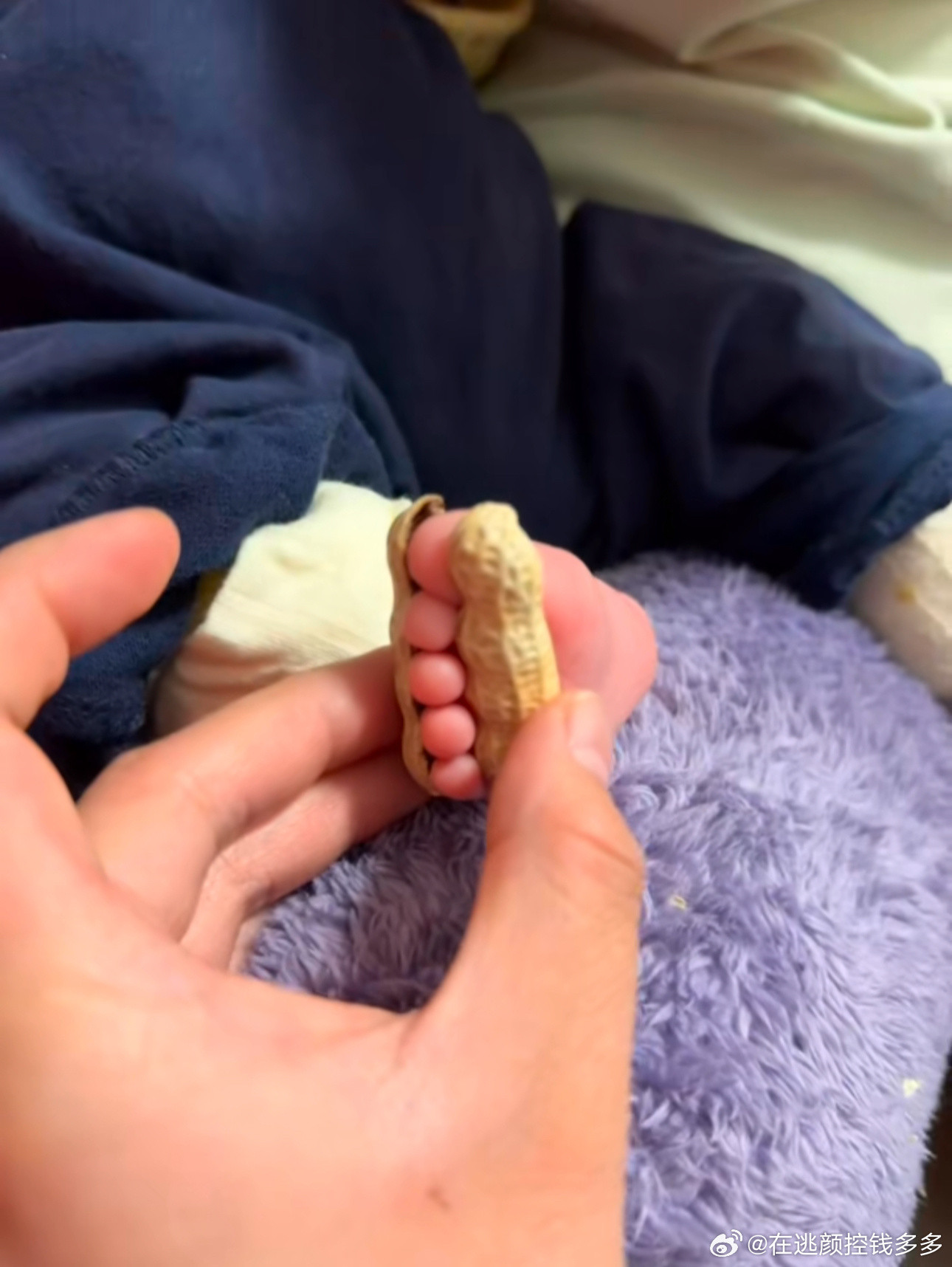 这难道就是传说中的多味花生吗？