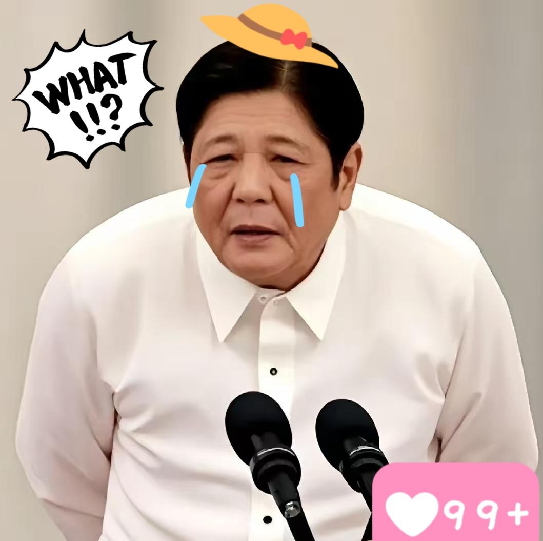 快报，快报菲律宾宣布了11月9日，菲律宾气象部门通报，超级台风“凤凰”在吕宋