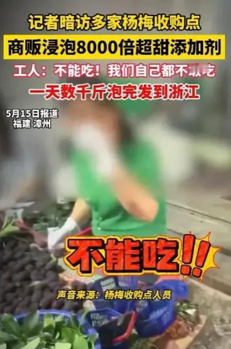 你扔掉的只是一盒杨梅，他们砸掉的是整个生计。福建毒杨梅黑幕曝光后，全网都在骂