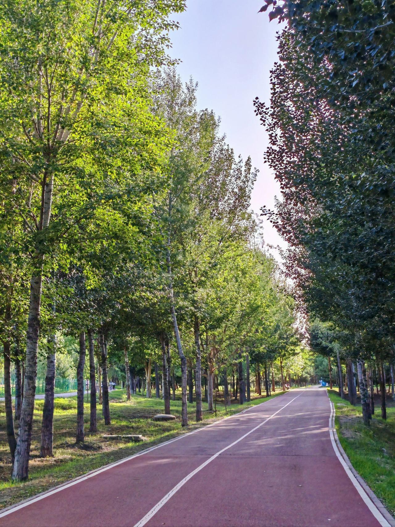 提到顶尖高校，多数人会想到985、双一流，但我国有5所双非院校（非双一流）凭借硬