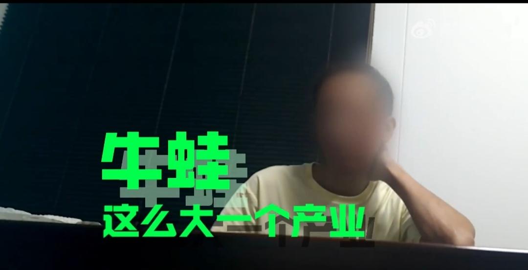 经常吃牛蛙的人，到底有没有踩过抗生素超标的坑？澎湃新闻历时一个月暗访，