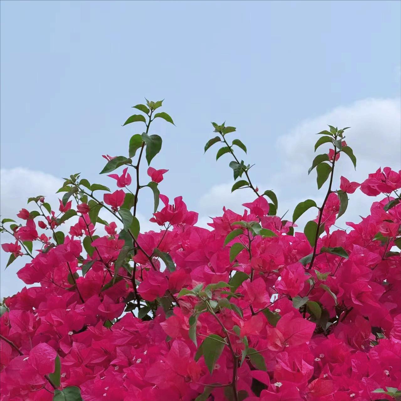 苏林在北京这样说 4月15日上午，苏林在北京这样说： 推动两国全面战略合