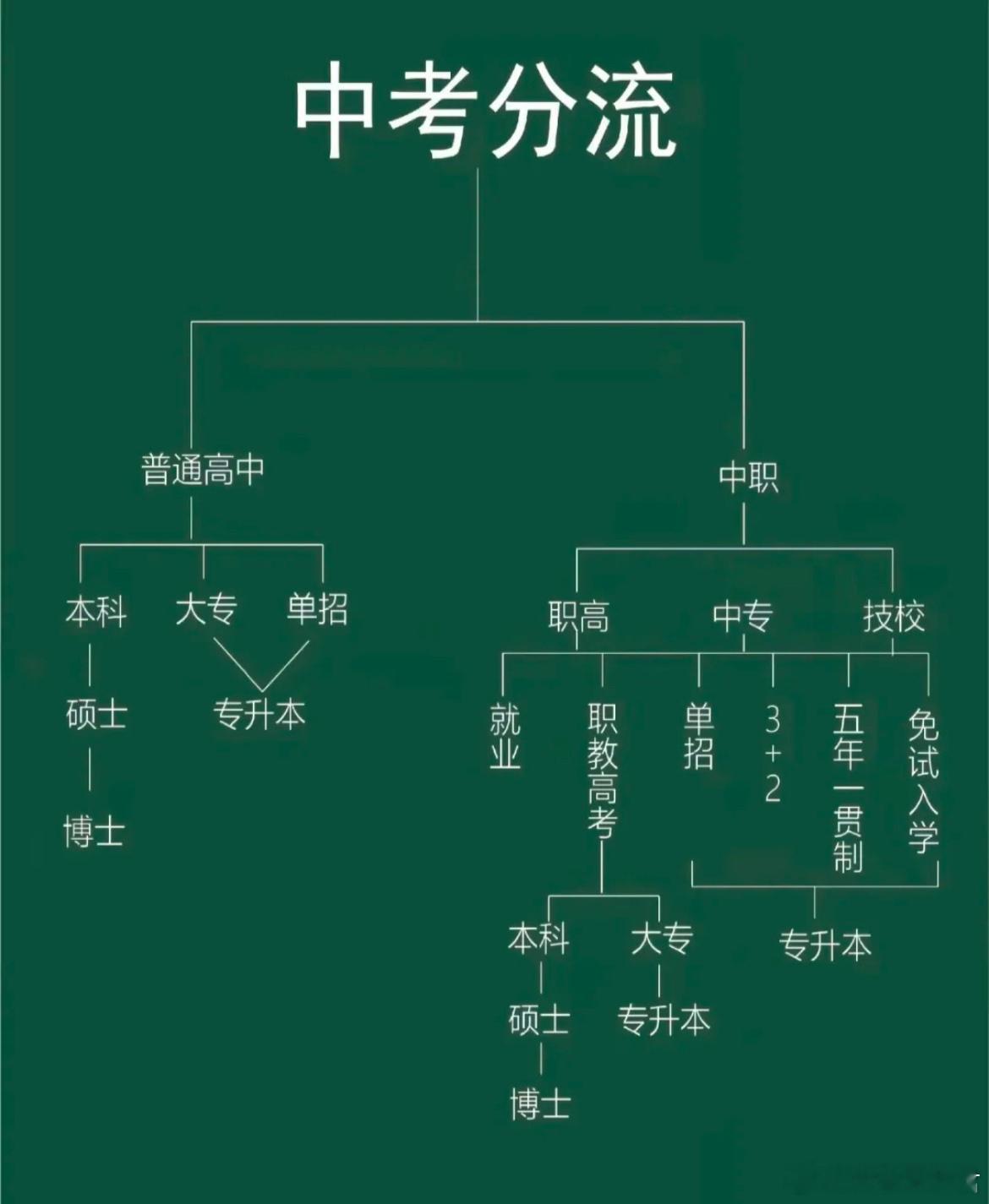 一张图看懂中考分流​​​