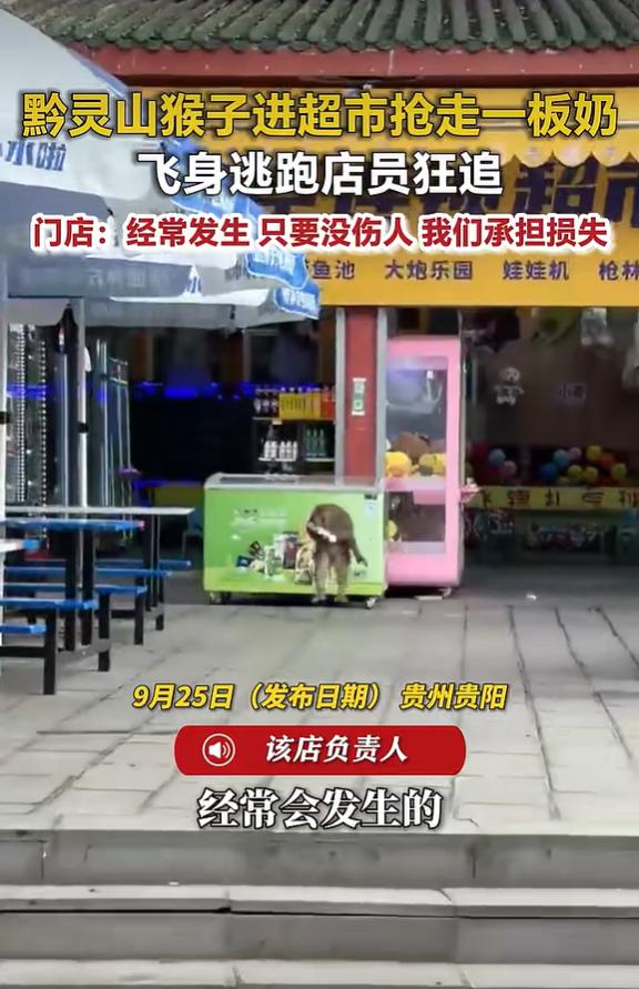 9月25日荔枝新闻报道，在贵阳黔灵山附近一家超市，上演有趣又惊险的一幕，一