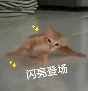 宝子们最喜欢哪个奥特曼❓
