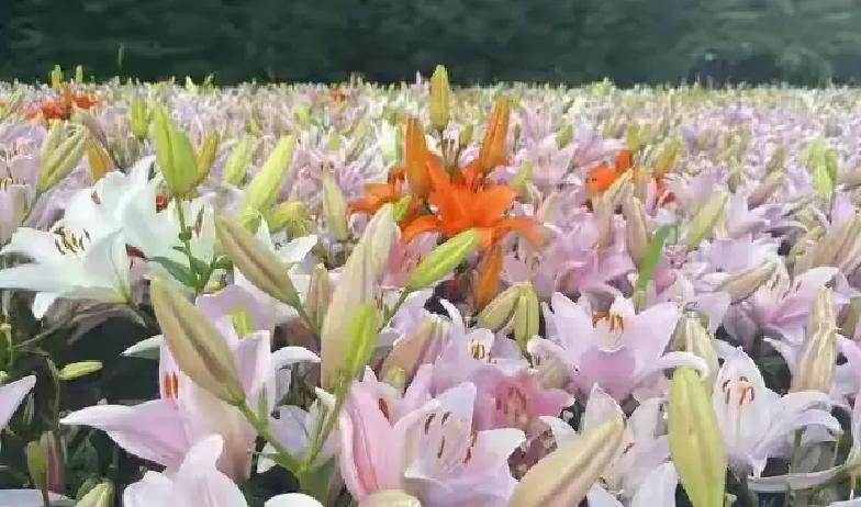 五十多岁以后，日子过得稳当最实在。不少人到这个年纪，每月领个两三千块退休金，就算