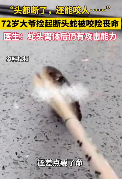 “太离奇了！”7月29日红星新闻报道，浙江诸暨，一72岁大爷在钓鱼时遇到剧毒眼镜