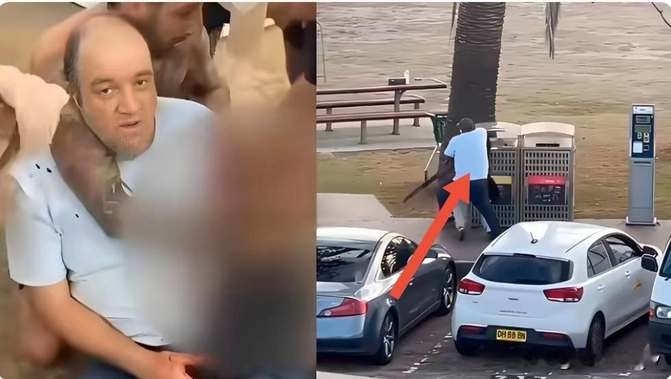 锁喉夺枪英雄找到了！他叫艾哈迈德，今年43岁。是一家水果店老板，两个孩