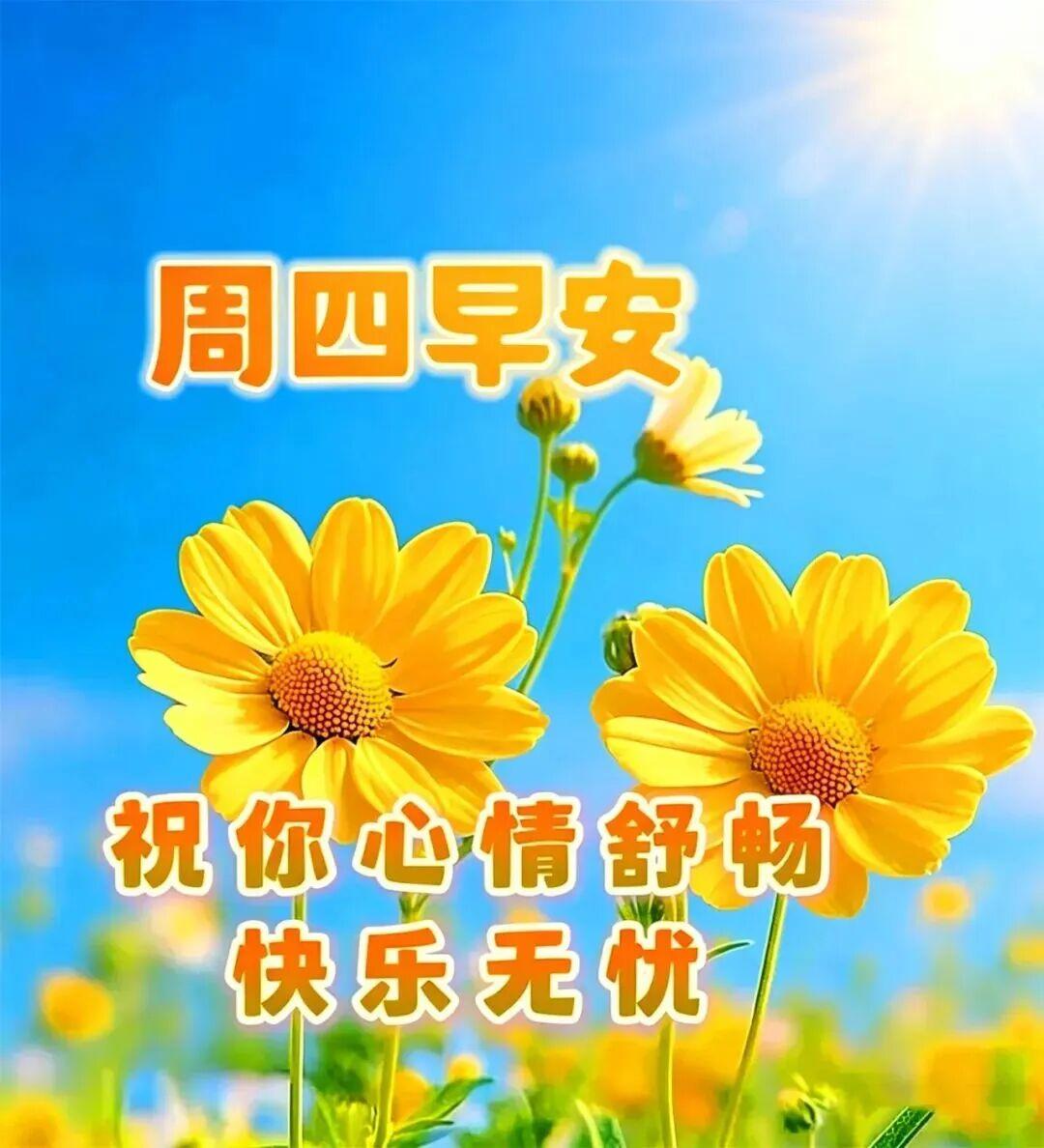 道一句早安，快快起床，收拾好心情，晒晒阳光，温暖一整天，祝福伴随你身旁，简简单单