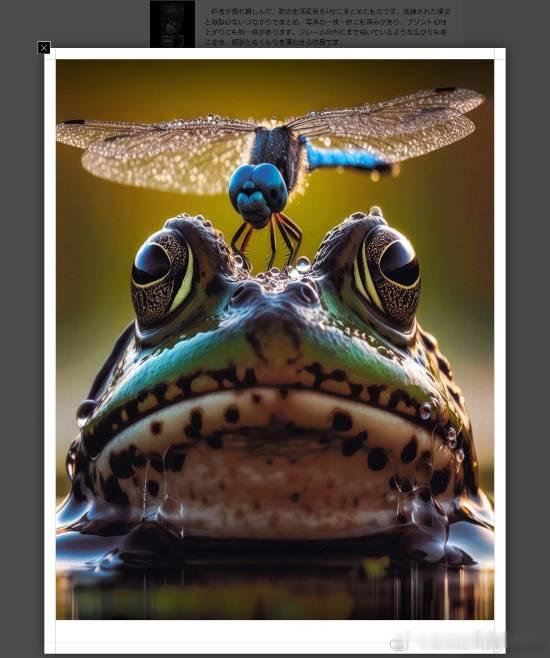 日本摄影赛一等奖被发现是AI生成：主办方紧急撤销其资格近日日本一摄影沙龙爆出乌龙