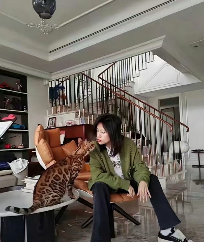 鲍蕾家的这只猫应该很贵吧​​​​
