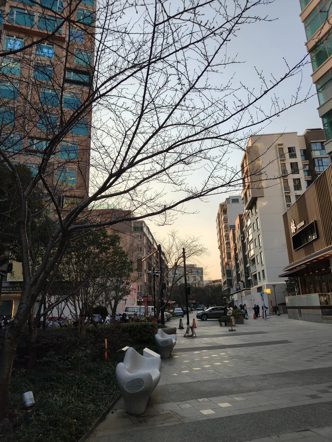 周末公园散步随手拍实景图分享！家附近公园绿地随手拍分享！