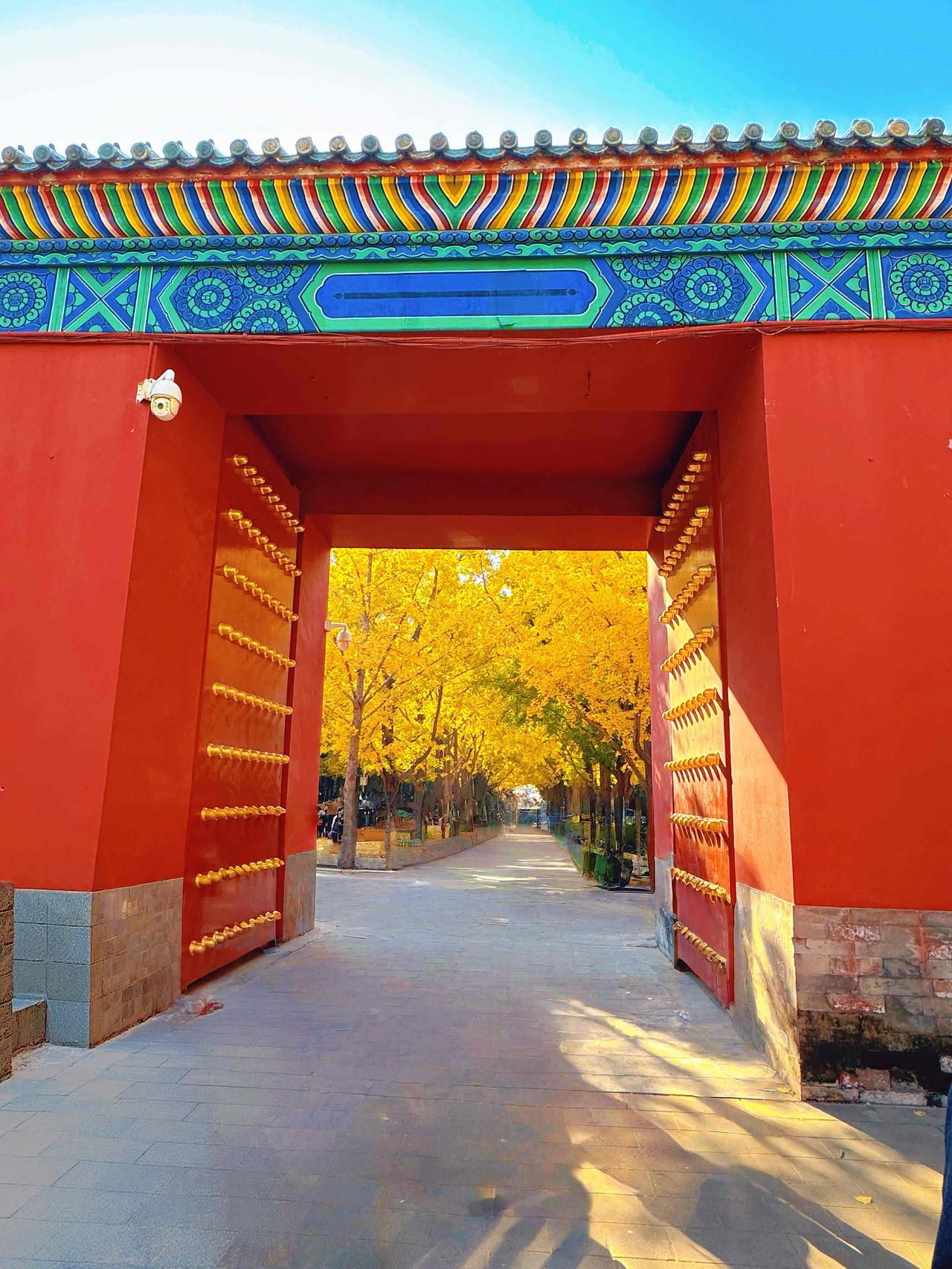 传说中的地坛银杏大道，我是用AI把所有的人都P掉了，真实场景是大道上全是人，看不