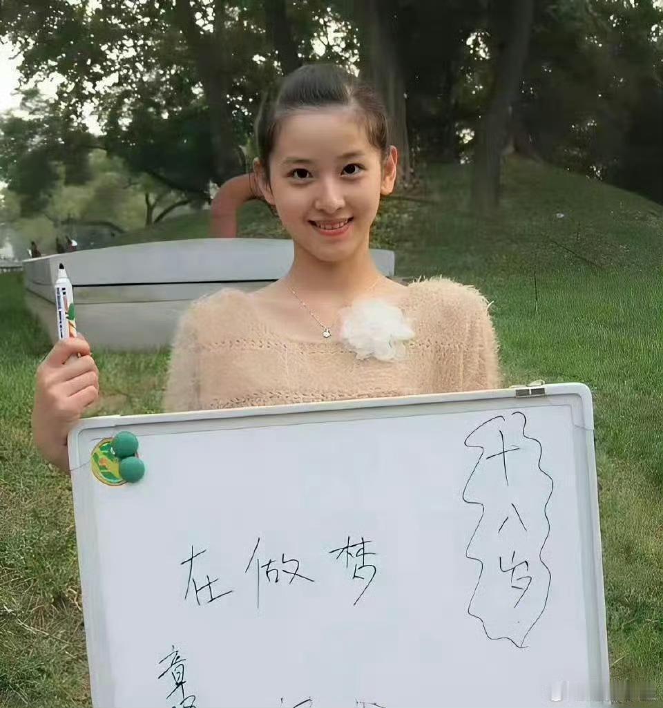 刚恋爱时的章泽天还是清华的学生，刘强东是功成名就的京东大老板。