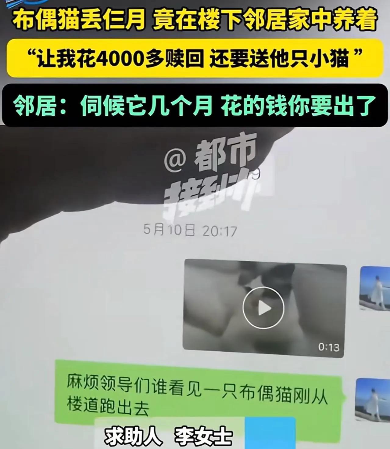 “到底怎么做到这么理直气壮的？”河南许昌，女子养的猫丢失，苦苦寻找3个月无果，后