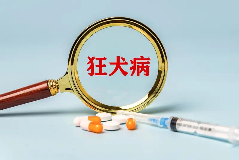 狂犬病发作基本就没救了。一旦发病，死亡率几乎是100%。这是因为狂犬病毒会侵犯