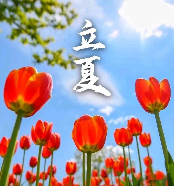 夏季安康[玫瑰][玫瑰]与春天告别，与夏天相拥与阳光同行，与健康拥