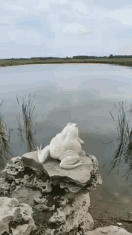 这个是AI，绝对是AI。