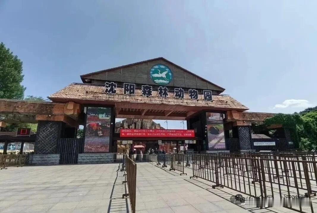 沈阳森林动物园确定要搬家！新园配海洋馆！估计去新动物园起码还得等上三四年！[灵光